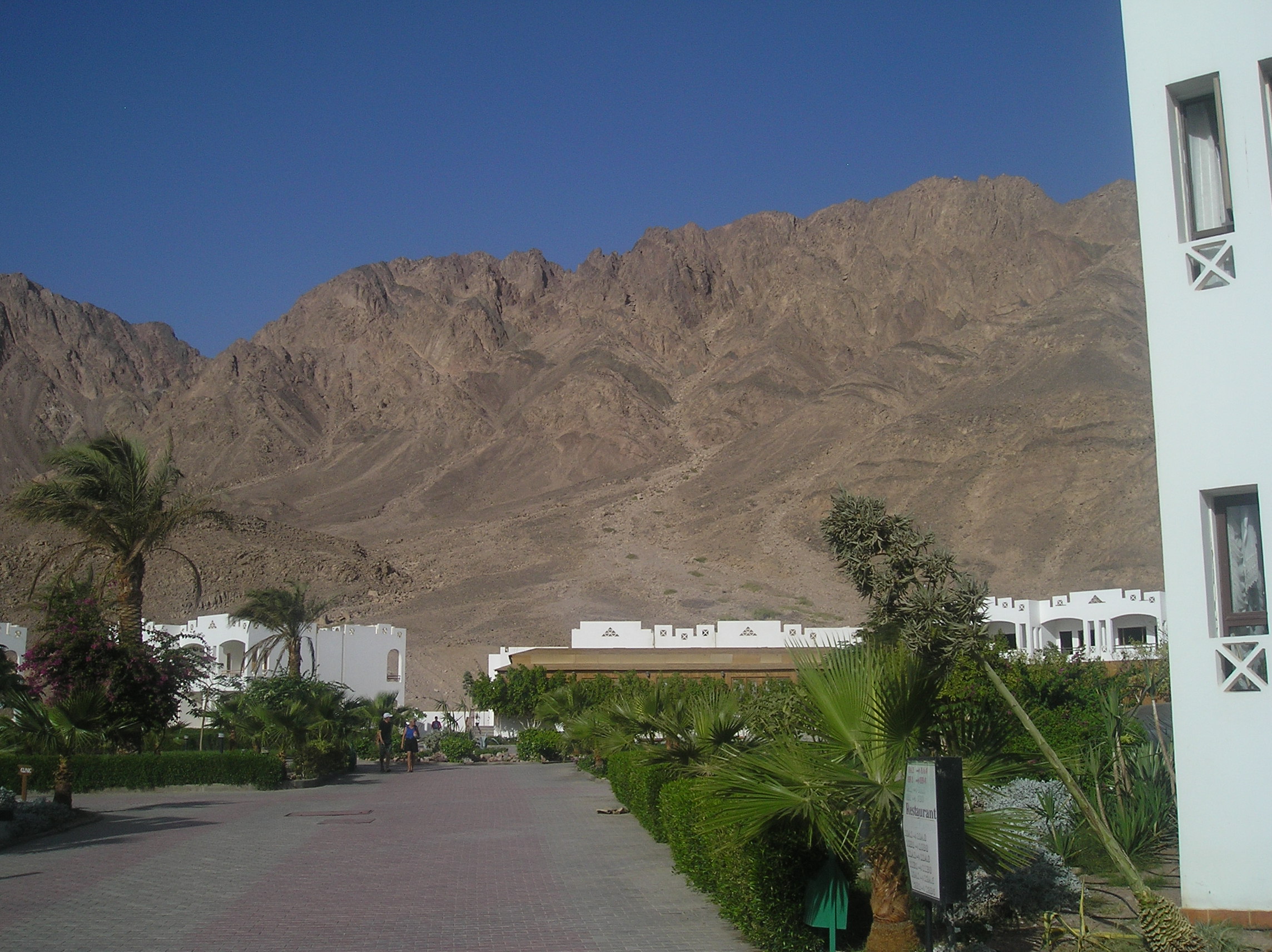 PA296736.JPG