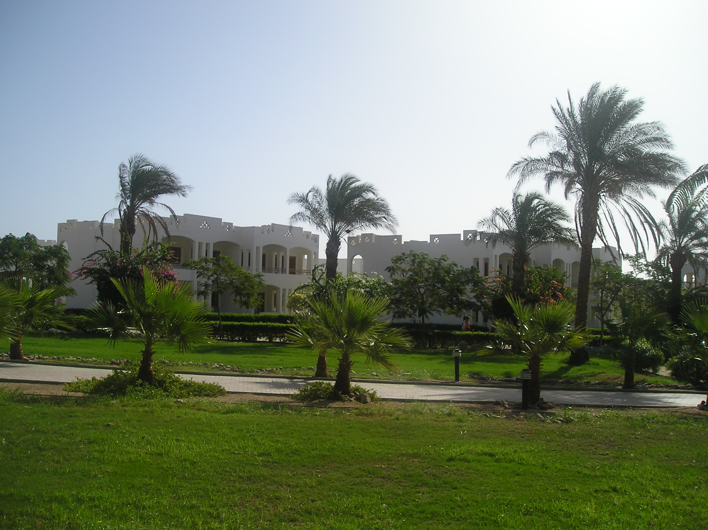 PA296740.JPG