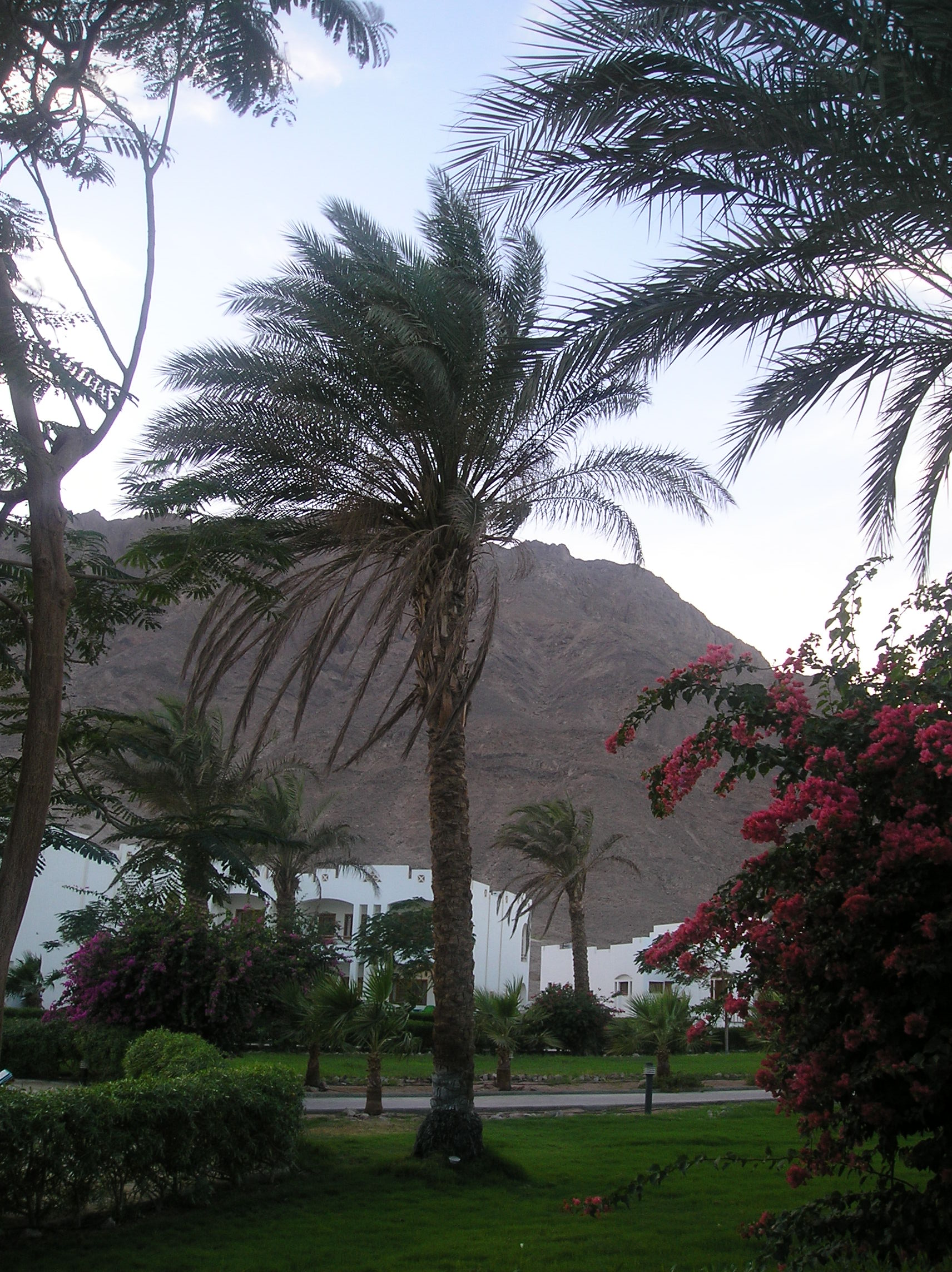PA296761.JPG