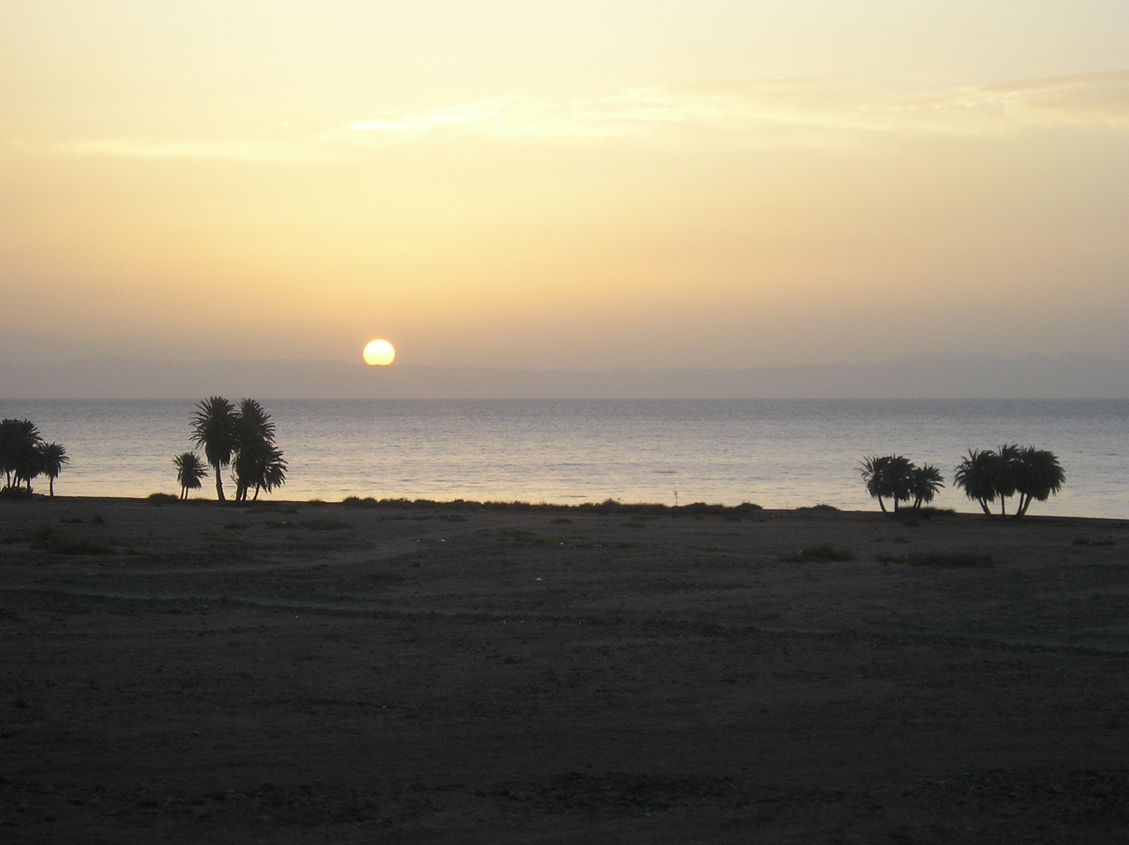 PA306777.JPG