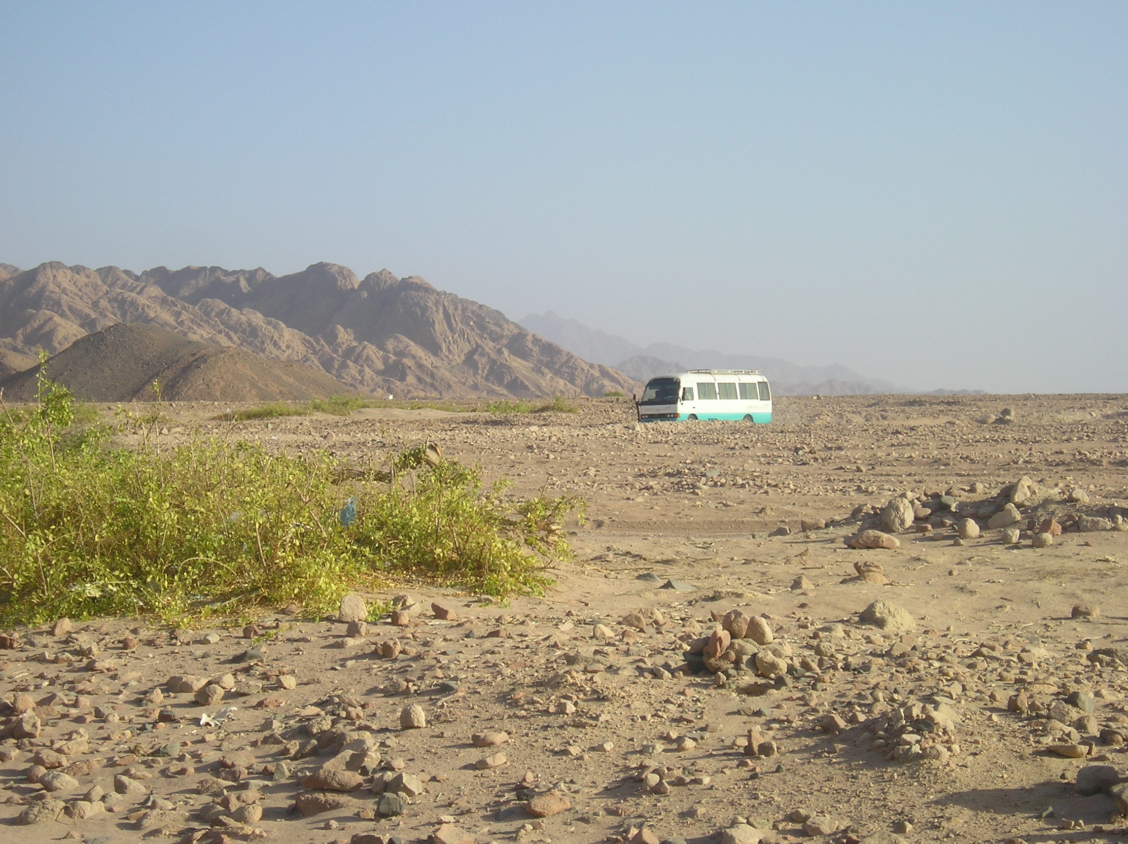 PA316813.JPG
